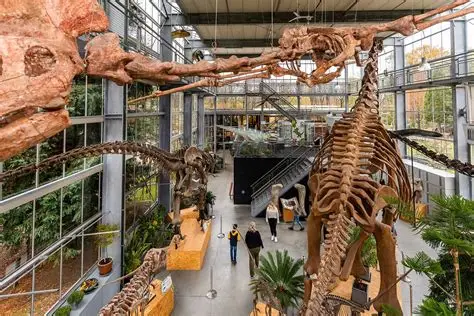 Dino
